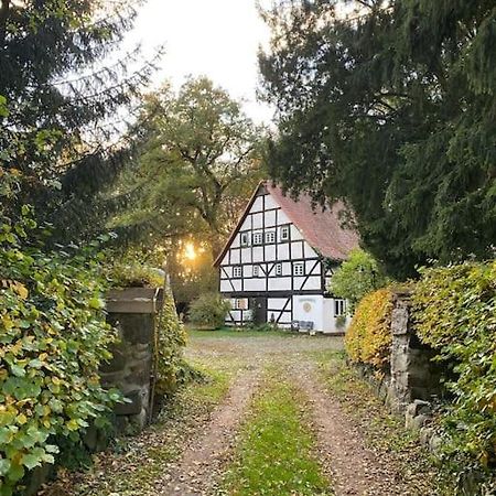 Wassermuehle Triglitz - Alleinlage Fuer Retreats, Workshops, Family & Friends Eksteriør bilde