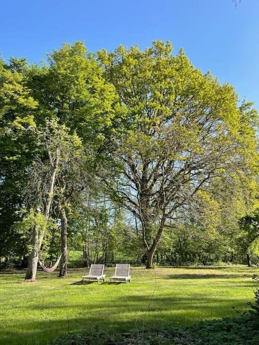 Wassermuehle Triglitz - Alleinlage Fuer Retreats, Workshops, Family & Friends Eksteriør bilde