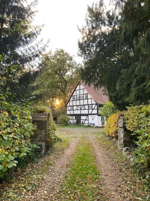 Wassermuehle Triglitz - Alleinlage Fuer Retreats, Workshops, Family & Friends Eksteriør bilde