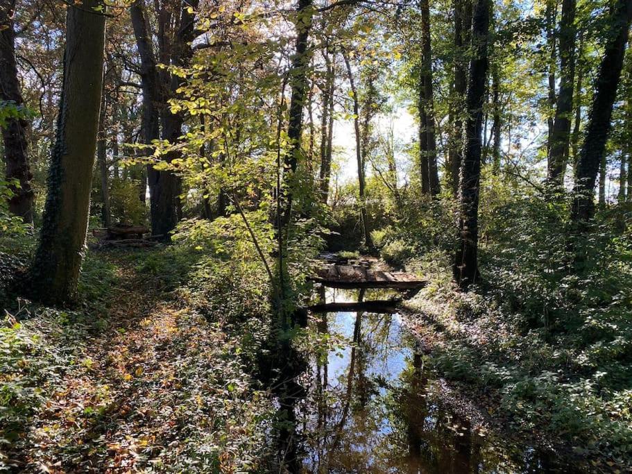 Wassermuehle Triglitz - Alleinlage Fuer Retreats, Workshops, Family & Friends Eksteriør bilde