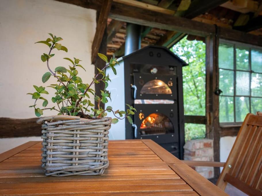 Wassermuehle Triglitz - Alleinlage Fuer Retreats, Workshops, Family & Friends Eksteriør bilde