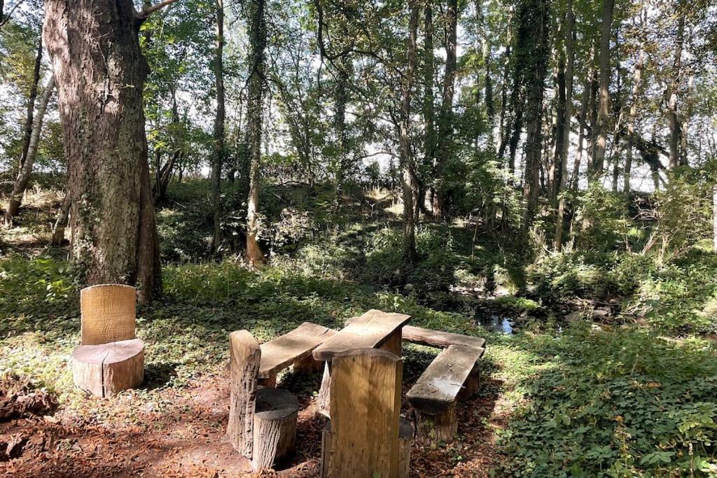 Wassermuehle Triglitz - Alleinlage Fuer Retreats, Workshops, Family & Friends Eksteriør bilde