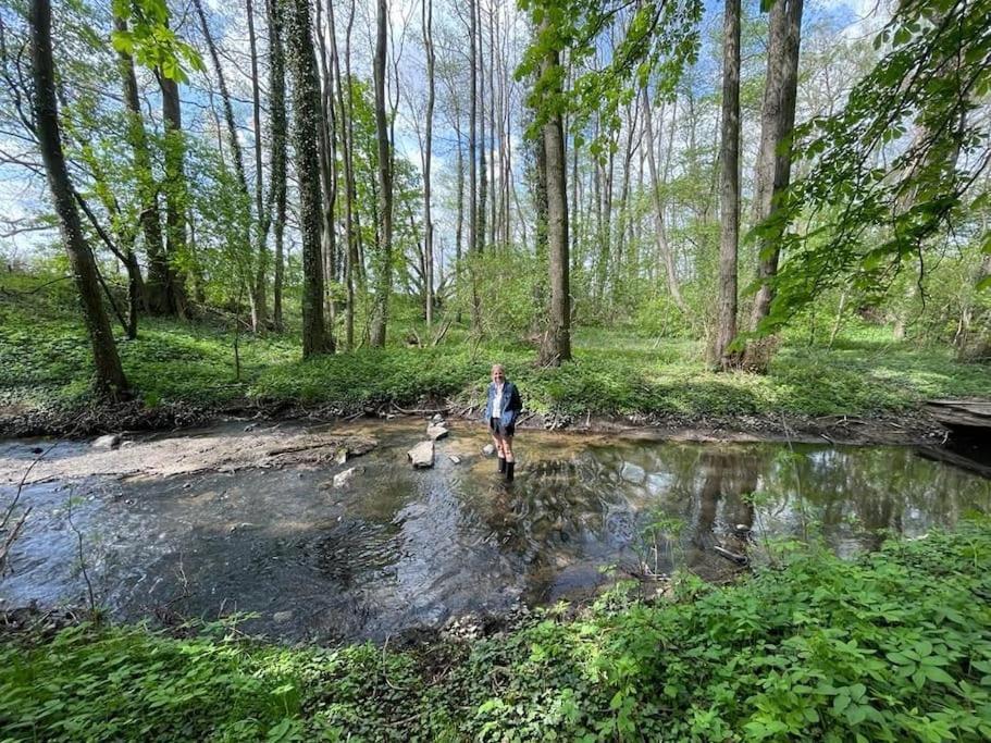 Wassermuehle Triglitz - Alleinlage Fuer Retreats, Workshops, Family & Friends Eksteriør bilde
